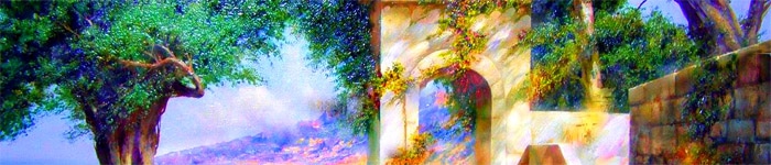 death_paradise