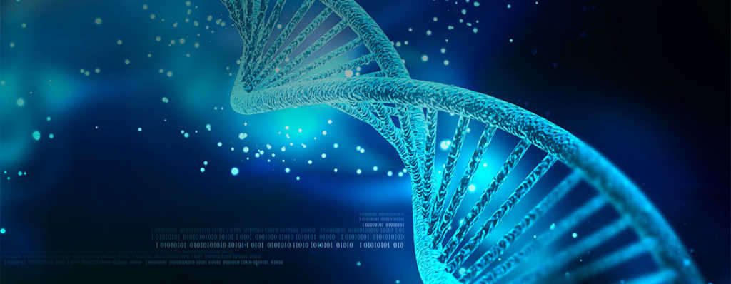 DNA: un sistema biologico ricetrasmittente