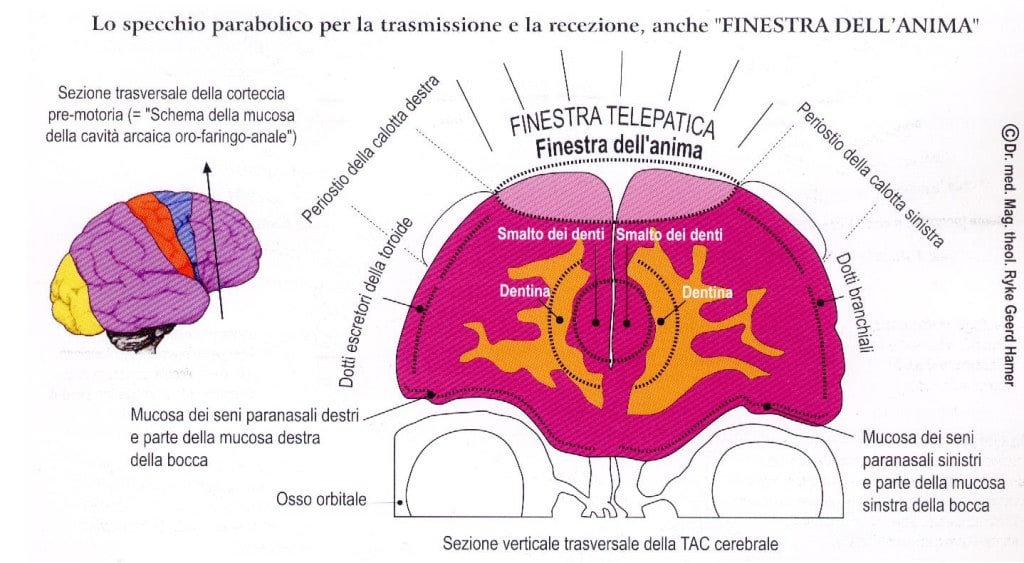 Presentazione della Nuova Medicina Germanica