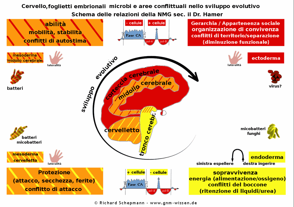 Presentazione della Nuova Medicina Germanica