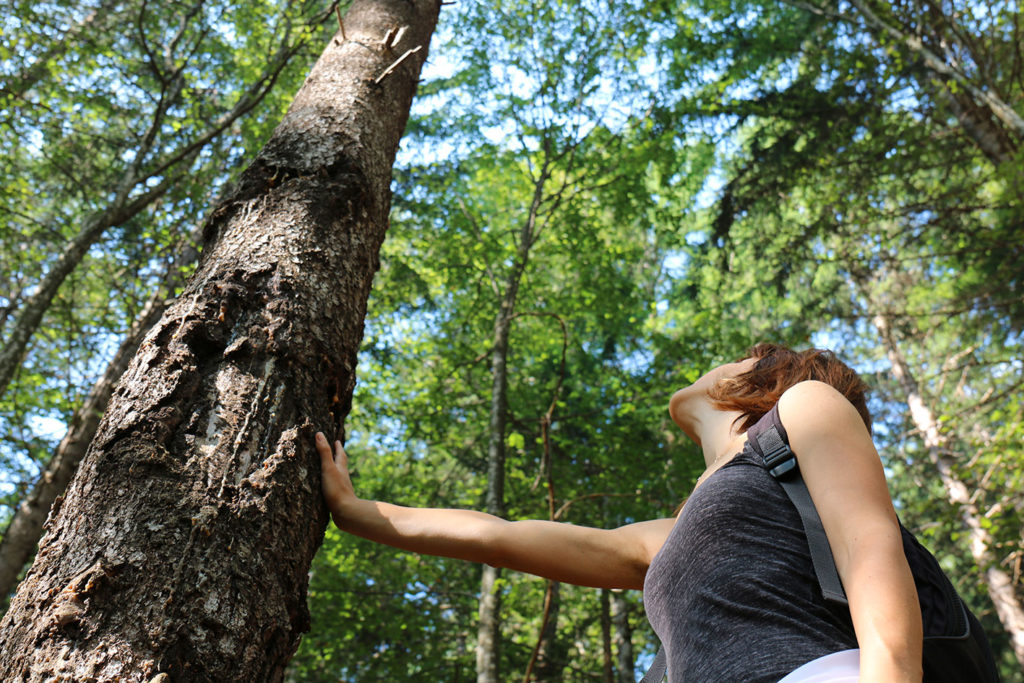 Risultati immagini per comunione con gli alberi