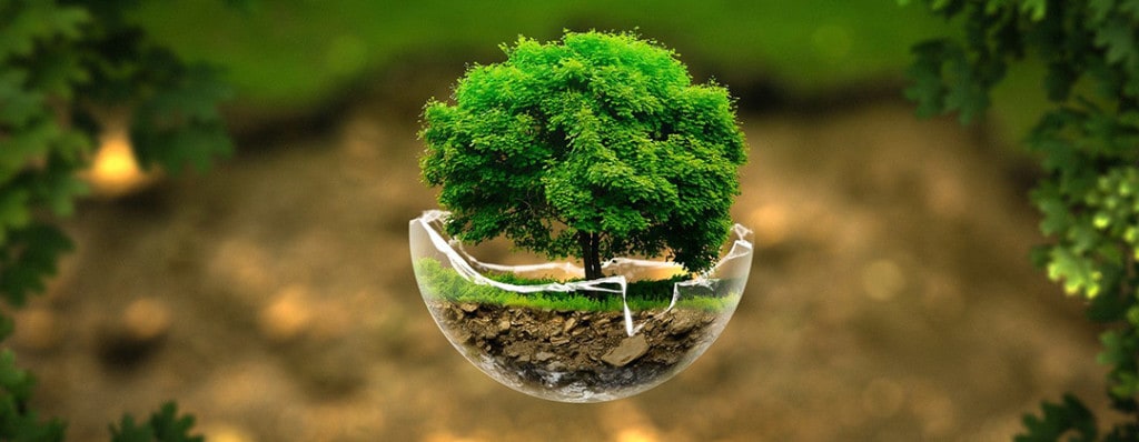 visualizzazione