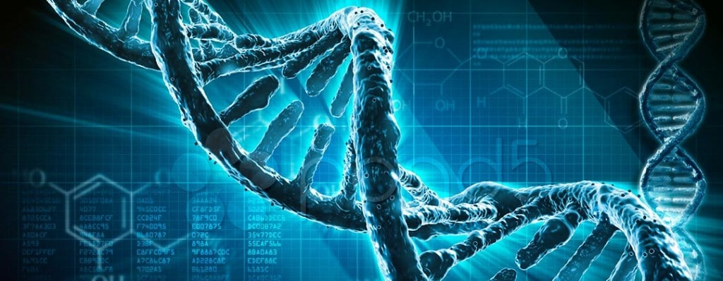 Dna: l&#8217;antenna che ci collega alla coscienza collettiva