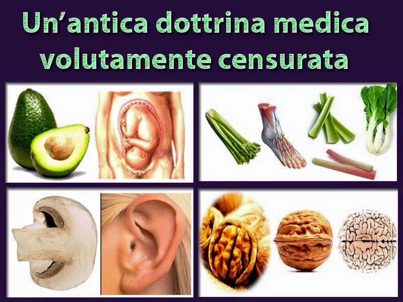 Signatura Rerum: alimenti che curano l’organo a cui assomigliano