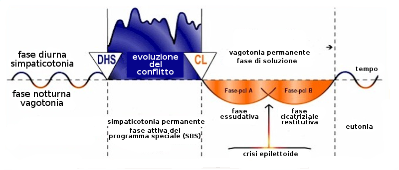 Il senso biologico della colonna vertebrale