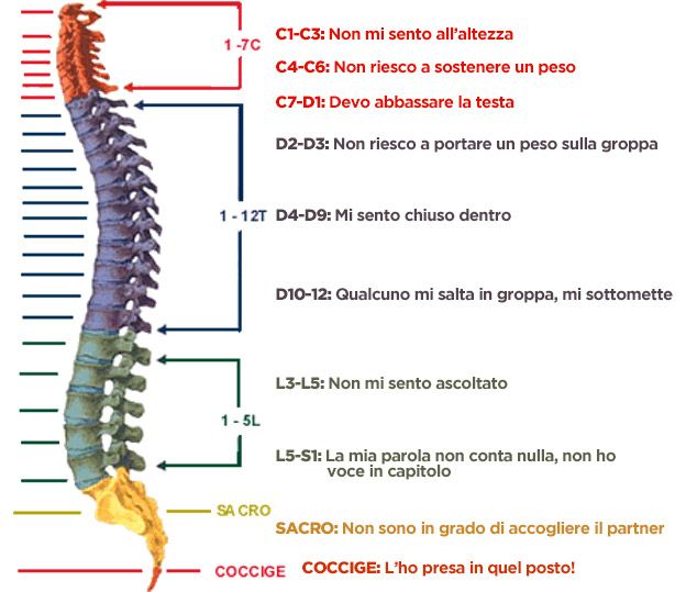 Il senso biologico della colonna vertebrale