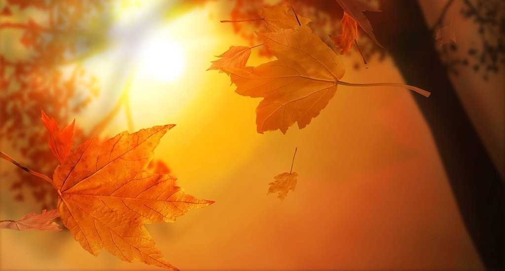 Equinozio d’autunno: prepariamoci a fare una scelta