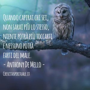 aforismi capire demello