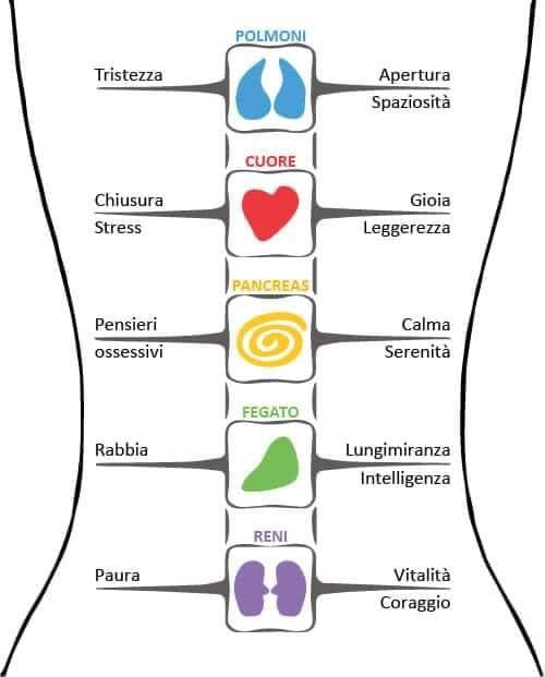 La malattia, come possiamo individuarla e comprenderla