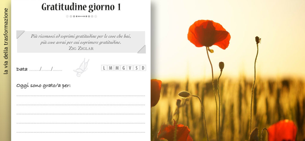 il diario magico della gratitudine Ivan Nossa